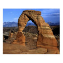 Delicate Arch posters by gust_front Delicate Arch posters