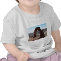 delicate arch tee shirt