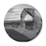 Delicate Arch Tone Fridge Magnet