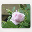 Delicate Beauty mousepads