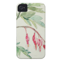 Delicate Bleeding Hearts iPhone 4 Cover