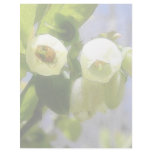 Delicate Blueberry Blossoms Personalized Letterhead