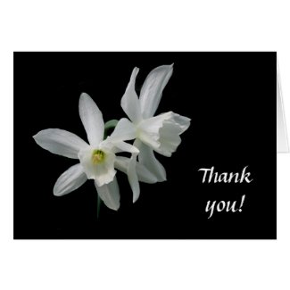 Delicate Daffodil Thank you Card