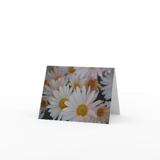 Delicate Daisies Note Card