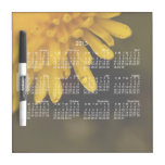 Delicate Dandelion; 2013 Calendar Dry-Erase Boards