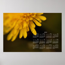 Delicate Dandelion; 2013 Calendar Print