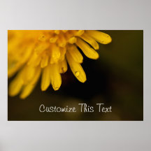 Delicate Dandelion; Customizable Poster