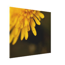 Delicate Dandelion Gallery Wrapped Canvas