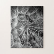 Delicate Dandelion Seed Wisher Puzzle puzzles
