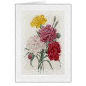 Delicate Dianthus card