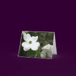 Delicate Dogwood Notecard