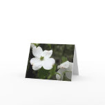 Delicate Dogwood Notecard