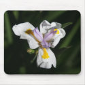 delicate flower mousepad