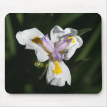 delicate flower mousepads