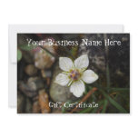 Delicate Flower on the Rocks; Gift Certificate Personalized Invite
