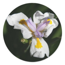 Delicate flower sticker