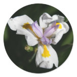 Delicate flower sticker