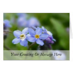 Delicate Forget Me Not Flowers Cards