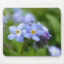 Delicate Forget Me Not Flowers Mouse Pads