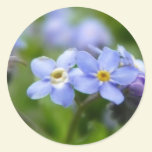 Delicate Forget Me Not Flowers stickers