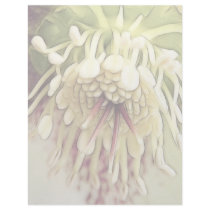 Delicate Hellebore Blossom Customized Letterhead