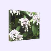 Delicate Hydrangeas canvas prints