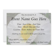 Delicate Iceland Poppy Flower Announcement