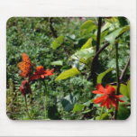 Delicate Landing mousepads
