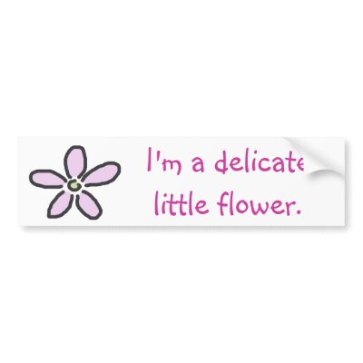 delicate_little_flower_bumper_sticker-p128886267851980248en8ys_400.jpg