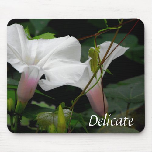 Delicate Morning Glories mousepad