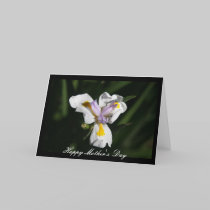 delicate mother's flower cards by cardart delicate mother's flower cards