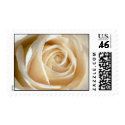 Delicate painted like white rose ( medium size ) postage by MAMJODH Delicate painted like white rose ( medium size ) postage