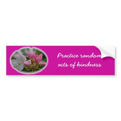 Delicate Pink Azaleas Bumper Sticker