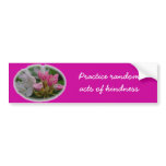 Delicate Pink Azaleas bumper stickers