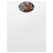 Delicate Pink Azaleas letterhead by CarolsCamera Delicate Pink Azaleas letterhead