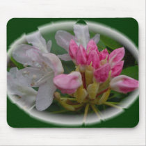 Delicate Pink Azaleas Mousepads