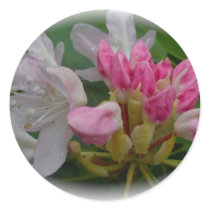 Delicate Pink Azaleas Round Stickers
