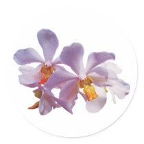 Delicate Pink Orchids stickers by SusanSavad Delicate Pink Orchids stickers