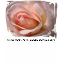 Delicate Pink Rose Bud Cami Tee t-shirts by naturalilly Delicate Pink Rose Bud Cami Tee t-shirts