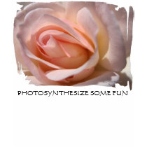 Delicate Pink Rose Bud Cami Tee t-shirts by naturalilly Delicate Pink Rose Bud Cami Tee t-shirts