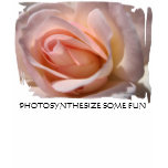 Delicate Pink Rose Bud Cami Tee Shirt