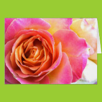 Delicate Pink Rose Card