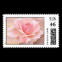 Delicate Pink Rose postage