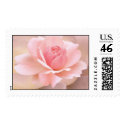 Delicate Pink Rose postage by kokobaby Delicate Pink Rose postage
