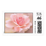Delicate Pink Rose Postage Stamps