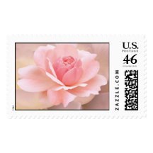 Delicate Pink Rose Postage Stamps