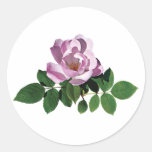 Delicate Pink Rose Sticker