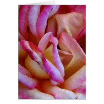 Delicate Pink Rose Watercolor Photo Art cards