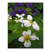 Delicate posters by welcomeflowers Delicate posters
