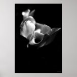 delicate posters